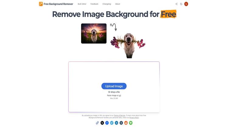 Image Background Remover featured image