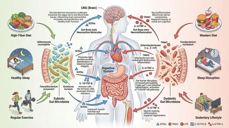 SciFig featured image
