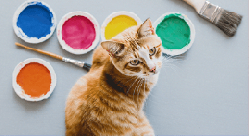 AllChat featured image