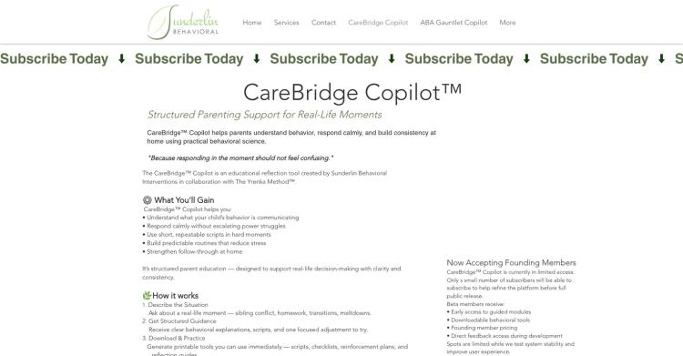 CareBridge Copilot featured image