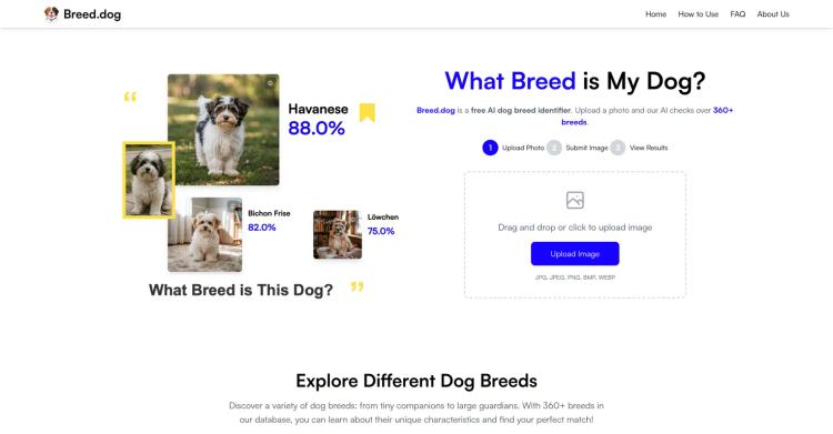 Breed.dog featured image