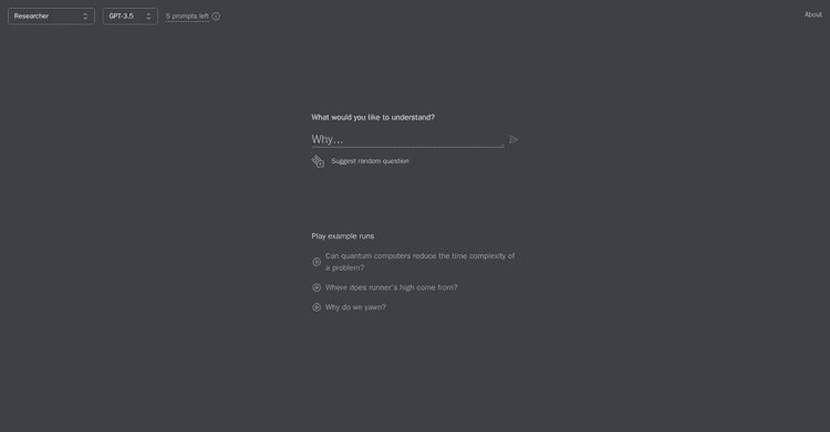 WhyBot featured image