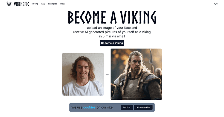 VikingPic featured image