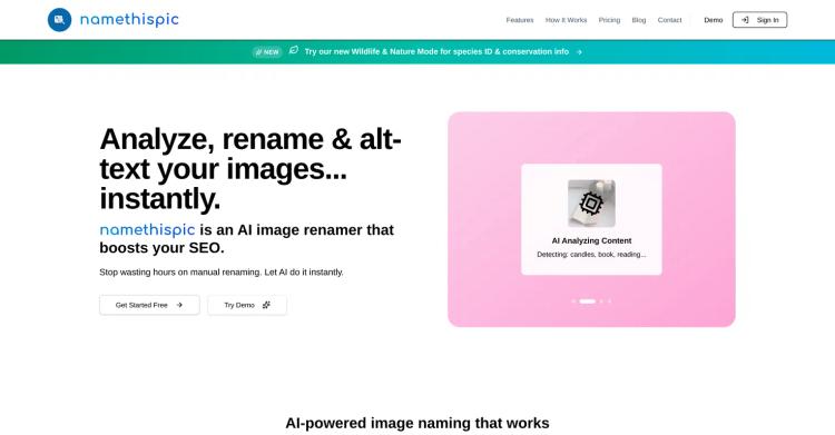 namethispic featured image