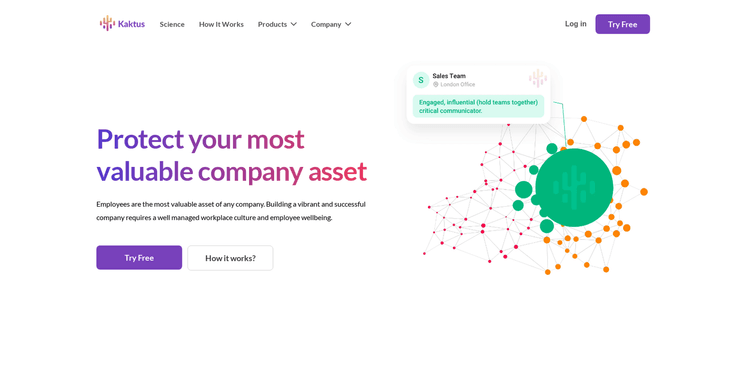 Kaktus featured image