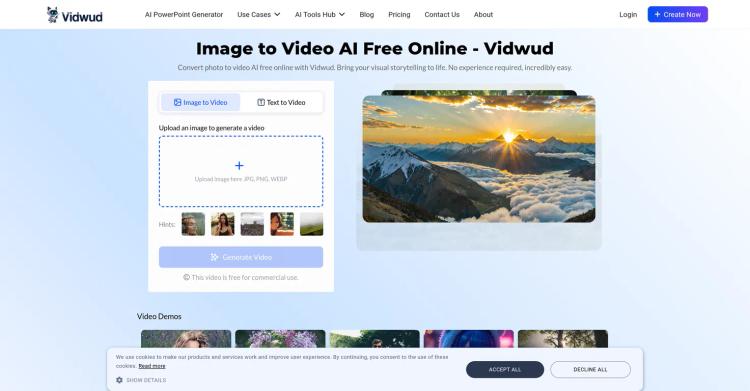 Vidwud featured image