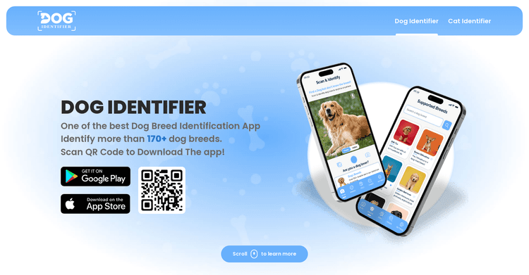 Dog Identifer featured image