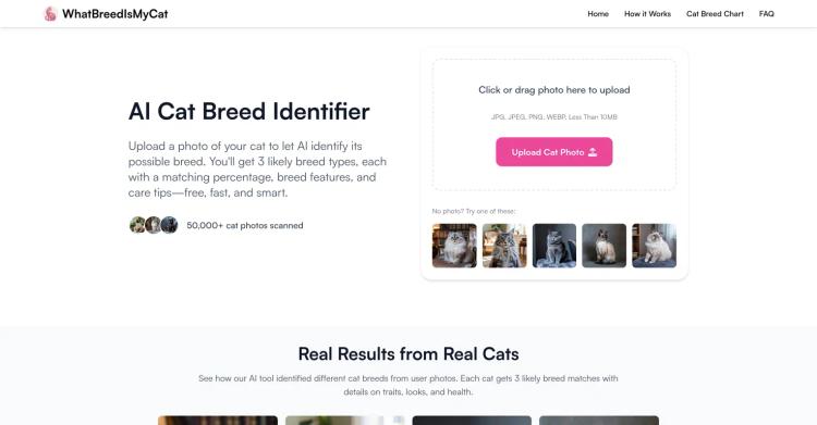WhatBreedIsMyCat featured image