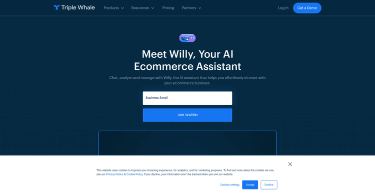 Willy featured image
