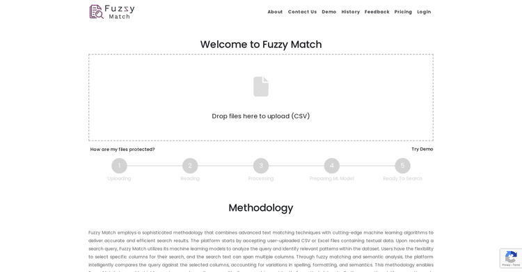 Fuzzy Match featured image