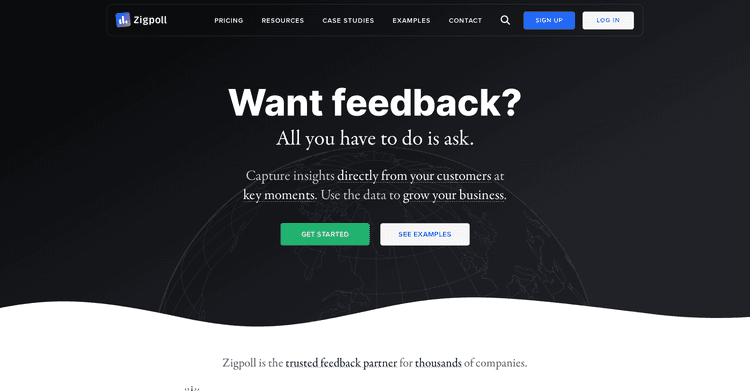 Zigpoll featured image