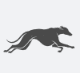 Galgos AI logo