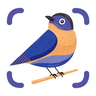 BirdSnap logo