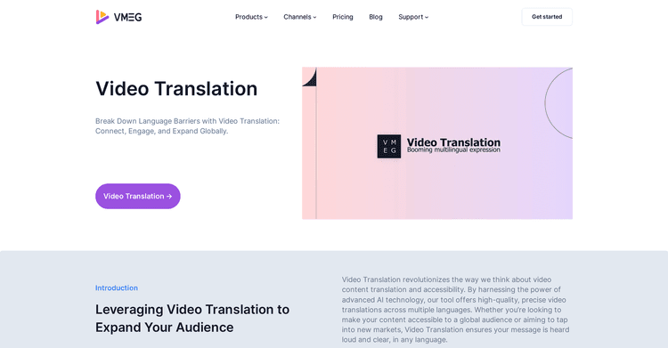 VMEG Video Translation featured image VMEG Video Translation featured image